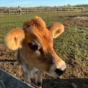 Meet your Posher, Natalia